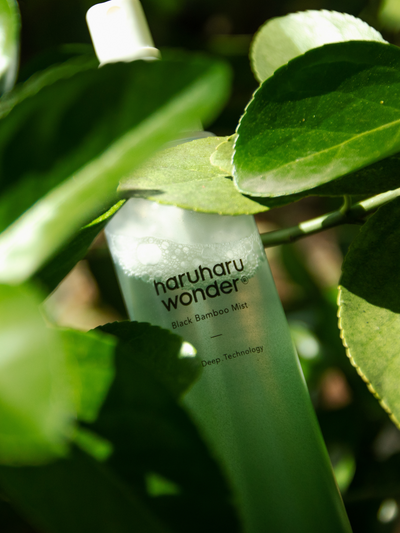 haruharu wonder Black Bamboo Mist with fermented bamboo