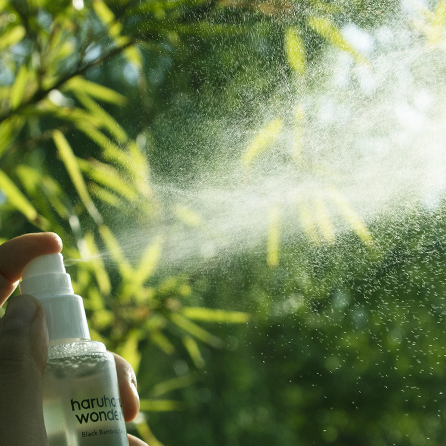 haruharu wonder Black Bamboo Mist antioxidant benefits
