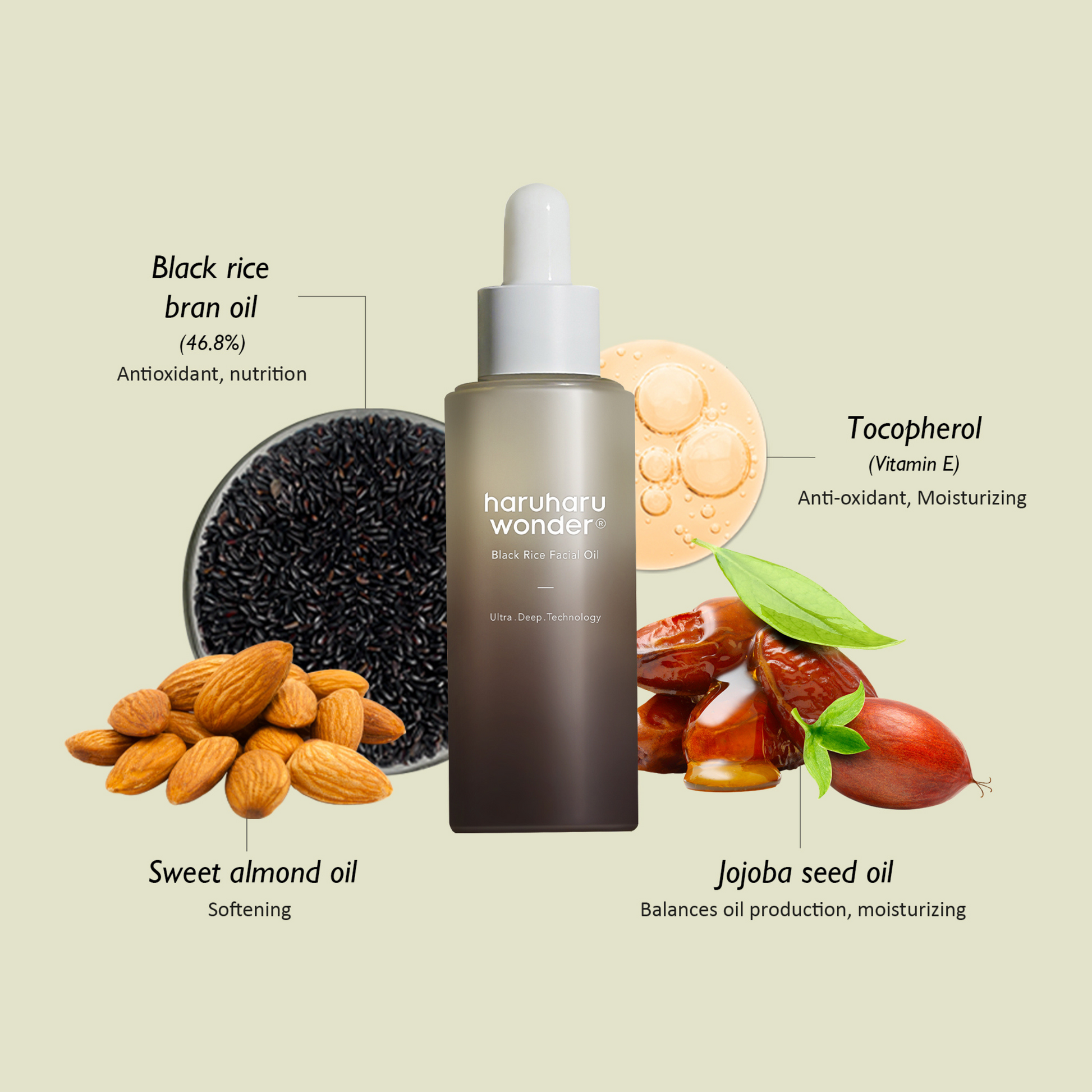 haruharu wonder Black Rice Oil texture and antioxidant benefits
